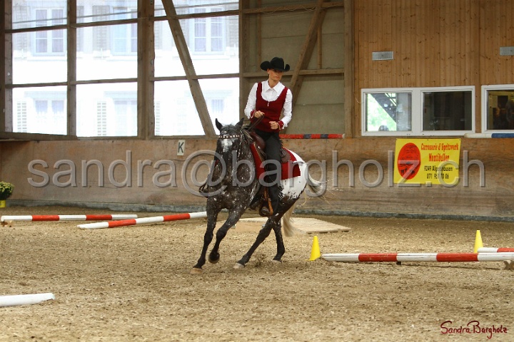 28-ApHC OT_278.jpg